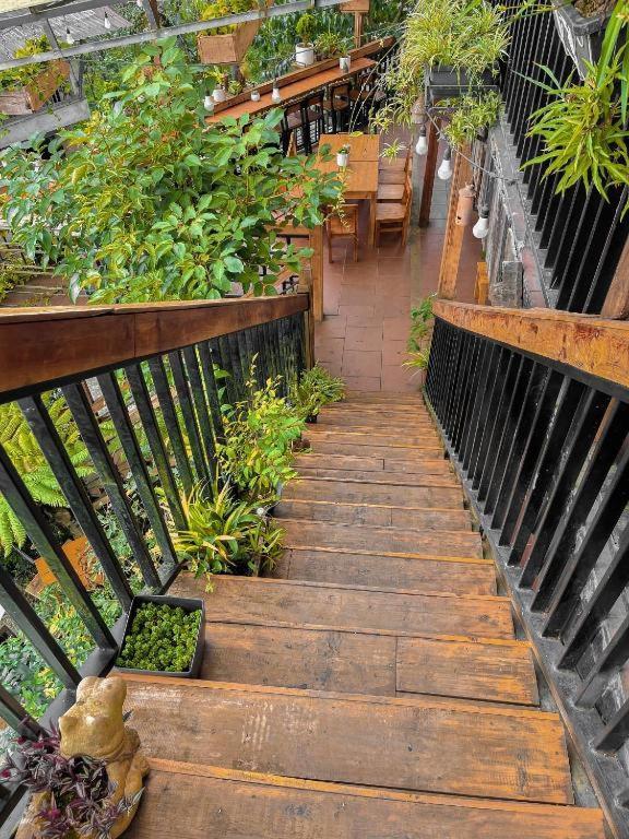 Hotel Hillside Sapa Exteriér fotografie
